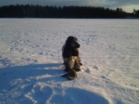 /album/ilpo/maalliskuu13-018-jpg/